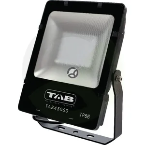 TAB45050_4