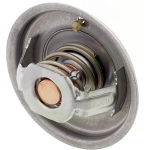 Termostat - Valtra (AGCO) V837084949