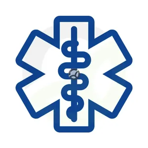 VT04223_4