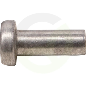 Posebna zakovica 5x16,5 mm ustreza Agria 630217=075690