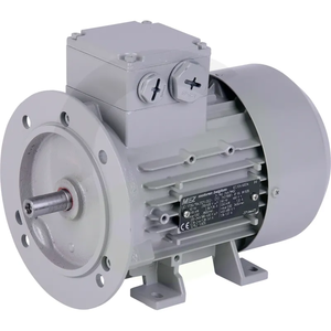 Motor za mlečno črpalko 00716059, 380 V, 0,55 kW