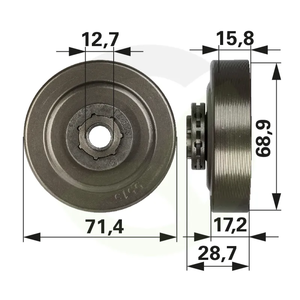 Pogonski zobnik z obročem Longlife 100791X, .325, 7 zob, SM 7
