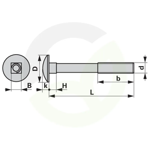 Sponski vijak M8 x 25 mm, kakovost 4.8, 200 kos z matico, pocinkano jeklo, DIN603