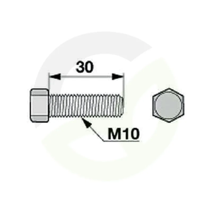 Matični vijak M10 x 30 mm, kakovost 8.8, 50 Kos pocinkano jeklo, DIN933