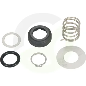Set za popravilo mlečne črpalke DeLaval FMP55, GM2