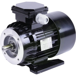 Elektromotor FMP55 0,55 kW