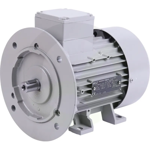 Motor za mlečne črpalke 00716475, 380 V, 0,75 kW