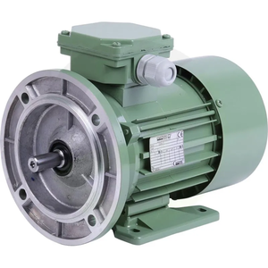 Elektromotor za mlečno črpalko 0,55 kW