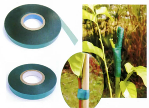 Trak za zaščito poškodovane rastline 12 mm x 45 m