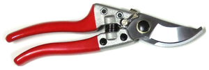 RA 895601_2