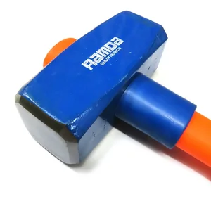 RA 895029_2