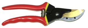 RA 895603_2