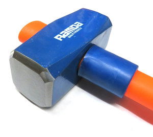 RA 895028_2