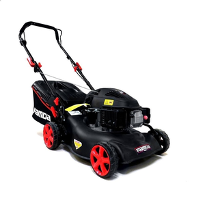 Vrtna kosilnica - 42 cm - 2v1 - 45l - Ramda G42P-A1 - Y80V-OHV