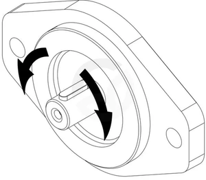 01175992N_4