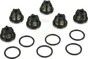 Set ventilov 3 cilindra Gomma - Annovi Reverberi AR2370