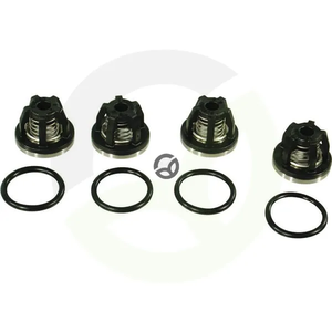 Set ventilov 2 cilindra - Annovi Reverberi AR2364