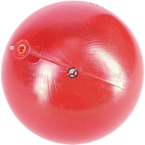 BBL960_1