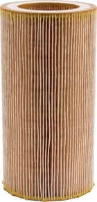Element zračnega filtra - Mann Filter C10050