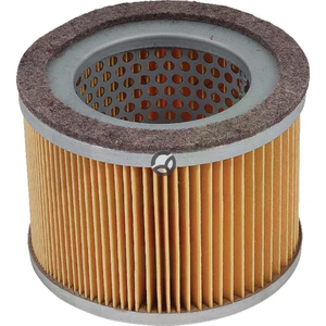 Oljni filter Mann Filter C11122
