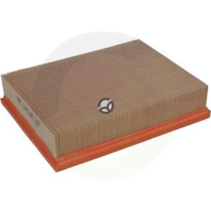 Oljni filter Mann Filter C29198