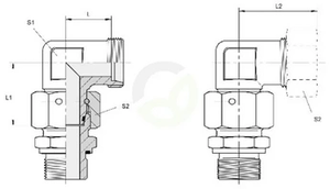 CELAG17NE_2