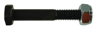 Vijak komplet M10x1,5x65 10,9 - CK6020
