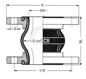 ERVCR250_2