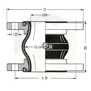 ERVCR100_2