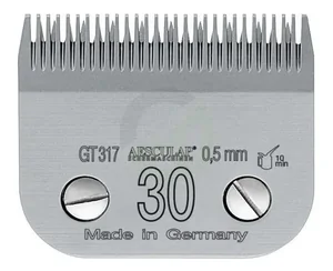 GT317_2