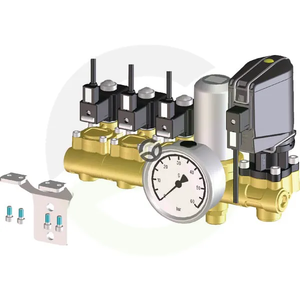 Električni regulator 2TB komplet - Braglia M200AH3XX0009