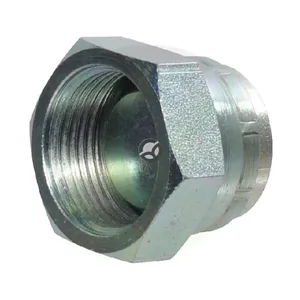 Končni čep 1/4 BSP - Burnett & Hillman PF04B