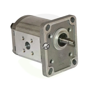 Motor PLM10.8R0-81E1-LBA/BB-N - Casappa PLM108R81E1
