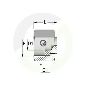 PFO09_3