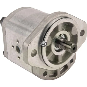 Motor PLM20.14R0-31S2-LEA/EB-N-EL - Casappa PLM2014R31S2