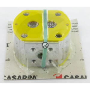 Zadnji del PLP10.3,15 D0-88V6-LBB/BA-N-I FS - Casappa PLP10315DII