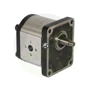 Motor PLM30.34S0-83E3-LEB/ED-N - Casappa PLM3034S83E3