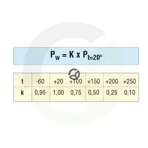 PTFE1DN06_2