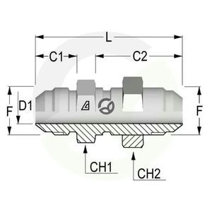 RS21_2