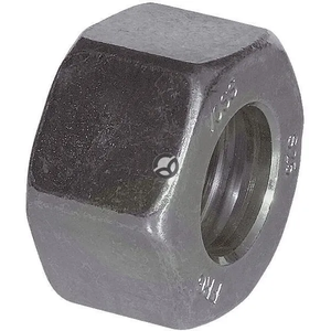 RVV10S_4