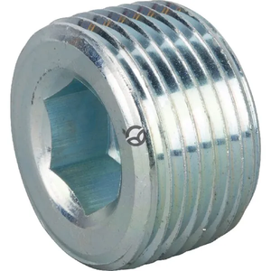 Tesnilni čep 1 NPT - Burnett & Hillman VSC16NPT