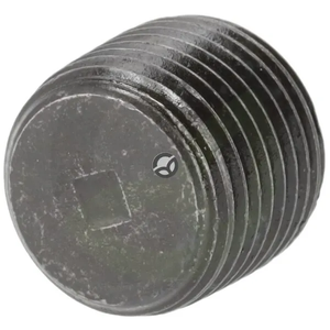 VSC08_2