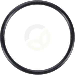 O-tesnilo - Dana Spicer 001053758