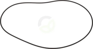 O-tesnilo - Dana Spicer 001051647