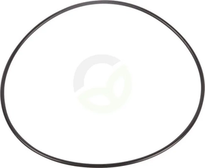 O-tesnilo - Dana Spicer 001053333