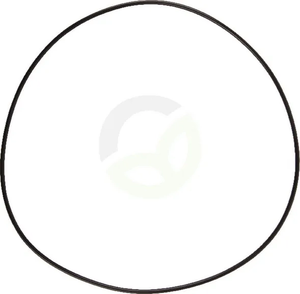 O-tesnilo - Dana Spicer 001051306