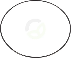 O-tesnilo - Dana Spicer 001051443