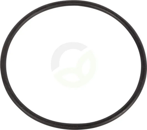 O-tesnilo - Dana Spicer 001051608