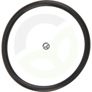 O-tesnilo - Dana Spicer 001051358