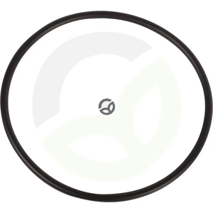 O-tesnilo - Dana Spicer 001050810
